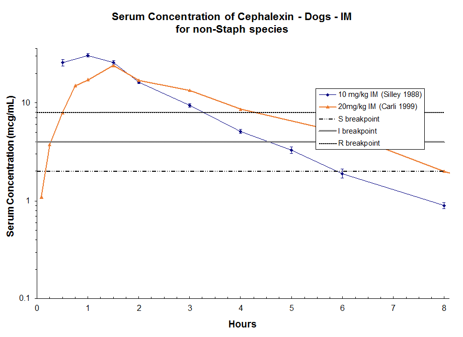 Cephalexin in Dogs Antimicrobials